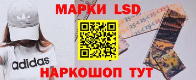 сатива Краснознаменск