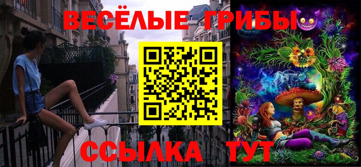 где купить наркоту  Вход с VPN  Каменск-Шахтинский  Псилоцибиновые грибы Magic Shrooms 