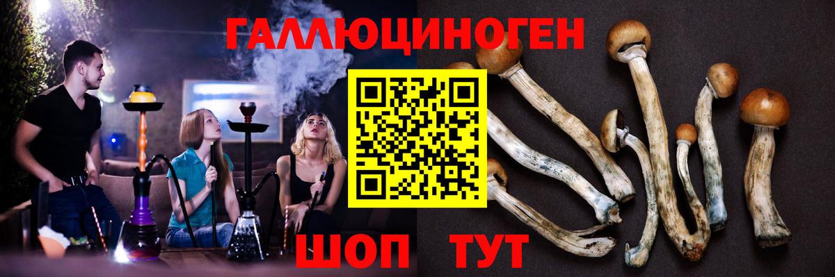 Псилоцибиновые грибы мухоморы Каменск-Шахтинский